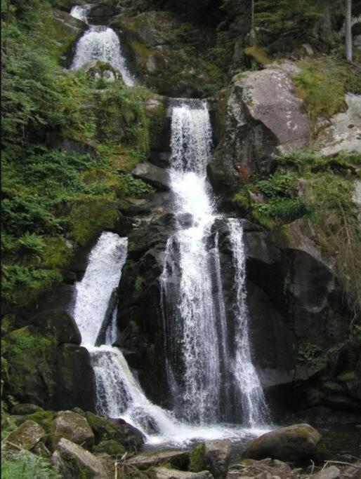 2 In Triberg